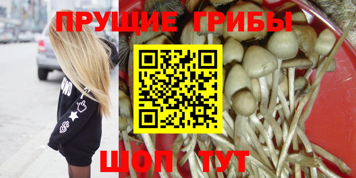 Галлюциногенные грибы MAGIC MUSHROOMS  Вход с VPN  дарнет шоп  Псилоцибиновые грибы мицелий  Канск 