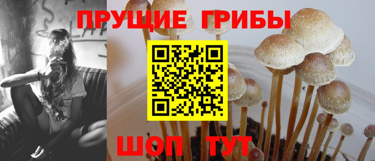Псилоцибиновые грибы ЛСД Канск