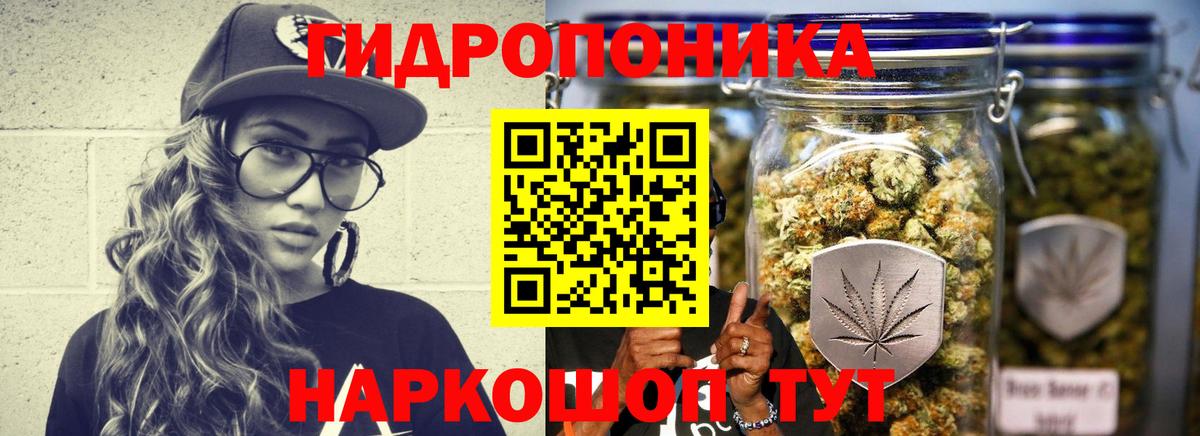 Марихуана OG Kush Канск
